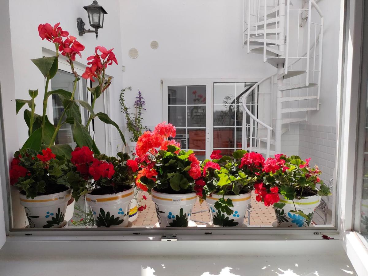 Casa Alba 1 Διαμέρισμα Puerto del Rosario  Εξωτερικό φωτογραφία